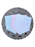 Indian Silk Banner with Hanger Set