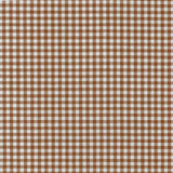 Gingham Sash